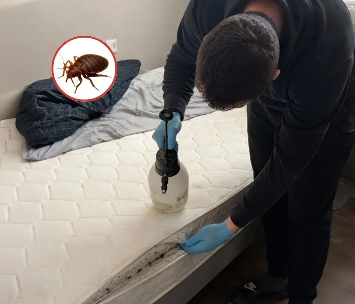Technicien traitant un matelas contre les punaises de lit à Vitry-sur-Seine